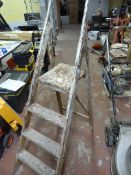 Four Tread Wooden Steps