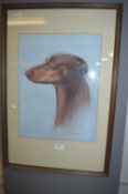 Framed Pastel Painting - Doberman signed Linda