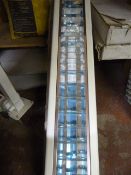 Three Ronda Strip Lights