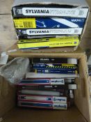 Box of Assorted Strip Lights (Average Length 22cm)