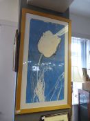 Beech Framed Poster Print