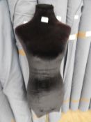 Female Torso Mannequin