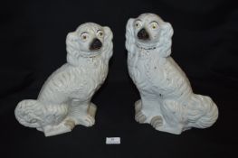 Pair of Staffordshire Dogs