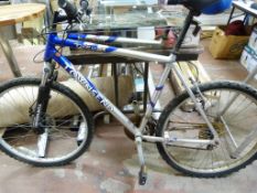 Townsend Trend Bicycle