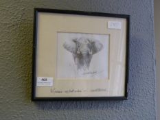 David Sheppard Elephant Sketch