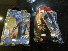 Two Fancy Dress Costumes (Harry Potter and Termina