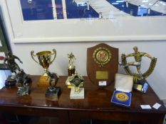 Collection of Supporting Trophies
