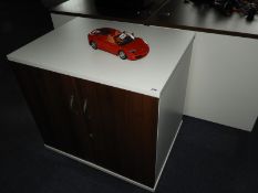 Two Door Office Cabinet (Darkwood & White)