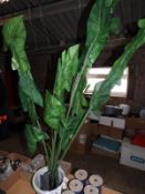 Artificial Plant in Pot