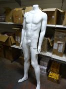 Male Mannequin
