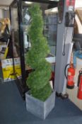 *5ft Cedar Spiral Topiary