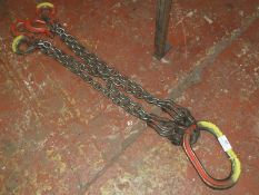 *Pair of Four Leg Lifting Chains