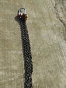 *Set of Two Leg Lifting Chains