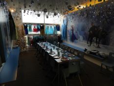 *Contents of Frozen Themed Party Room which Consis
