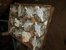 Twelve Packs of Bridal Rose Petal Confetti