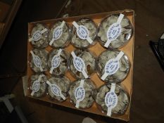 Twelve Packs of Bridal Rose Petal Confetti