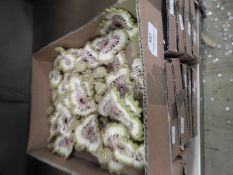 Box of 20 Decorative Crochet Panels