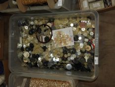 Box Containing Mother of Pearl and Other Iridescen