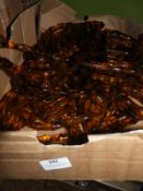 Box of 20 Amber Handles