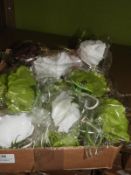 Box Containing 20 Floral Fascinators
