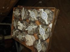 Twelve Packs of Bridal Rose Petal Confetti