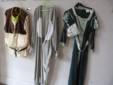 *Three Shrek Costumes