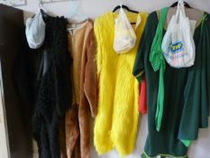 *Assorted Costumes Guerilla, Chicken, Robin Hood,