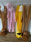 *Four Rainbow Costumes