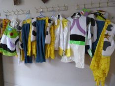 *Eight Toy Story Costumes
