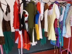 *Fourteen Fairy Tale Costumes
