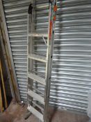 Beldray Three Way Extension Ladder