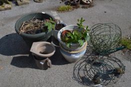 Collection of Planters, Plant Pots, Hanging Basket