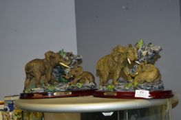 Two Groups for Elephants; One Juliano and One Well