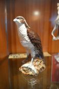 Royal Doulton - Osprey Whyte & Mackay Whiskey