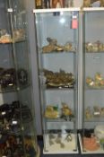 Glass Display Cabinet 163cm x 42cm