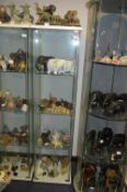 Glass Display Cabinet 163cm x 42cm