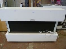 Contemporary Style Electric Fire