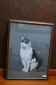 Wood Framed Pastel Picture of a Cat