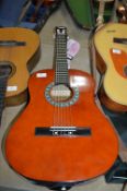 Elevation Acoustic Guitar