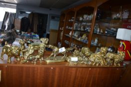 Collection of Brass Dogs