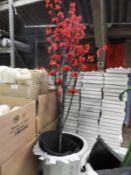 Decorative Cherry Blossom Plant in Pot