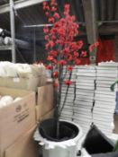 Decorative Cherry Blossom Plant in Pot