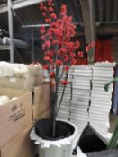 Decorative Cherry Blossom Plant in Pot