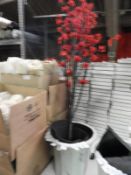 Decorative Cherry Blossom Plant in Pot