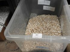 Box Containing Mother of Pearl Style Buttons