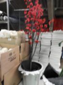 Decorative Cherry Blossom Plant in Pot