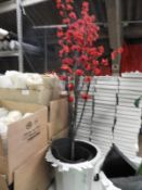 Decorative Cherry Blossom Plant in Pot