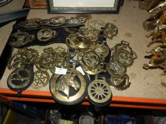 Collection of Horse Brasses