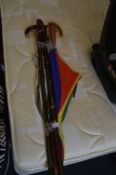 Collection of Walking Sticks and Umbrellas