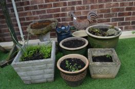 Large Collection of Garden Planters, Ornamental Bi